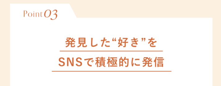 シーライクスマーケティング体験談ポイント3
